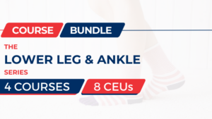 Lower Leg & Ankle Series
